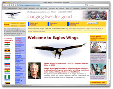 Eagles Wings website