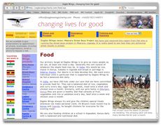 Eagles Wings website