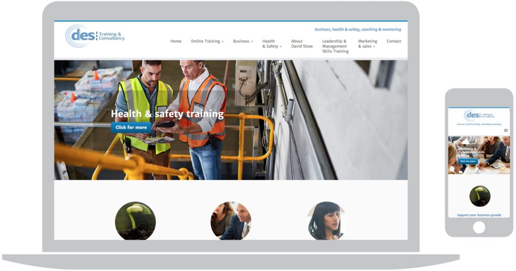 DES Training and Consultancy website design